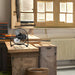 Lifestyle Workshop