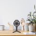 Lifestyle Office