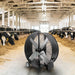 Lifestyle Barn