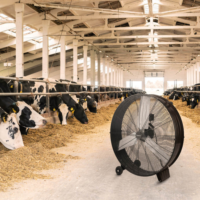 Lifestyle Barn