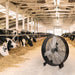 Lifestyle Barn