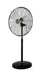 Left-Facing Product Image